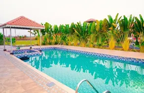 Karhandla Tigers Farm And Resort - Pool