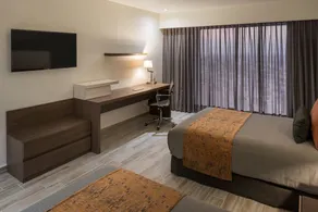 Real Inn San Luis Potosi - Chambre