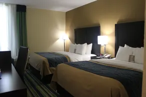 Comfort Inn & Suites Lantana - West Palm Beach South - Room