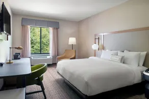 Fairfield Inn & Suites by Marriott Asheville Airport/Fletcher - Chambre
