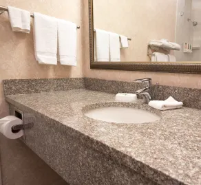 Drury Inn & Suites St. Louis Forest Park - Salle de bain