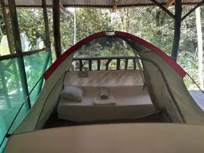 Río Agujitas Rainforest Eco Lodge - Værelse