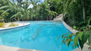 Little Savoy Guest House new - Pool