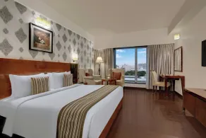 The Fern Residency Rajkot, Series by Marriott - Rom