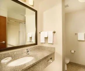 Drury Plaza Hotel Denver Westminster - Salle de bain