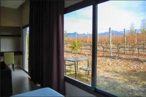 Auberge Du Vin, Tupungato, Mendoza - Utsikt fra rommet