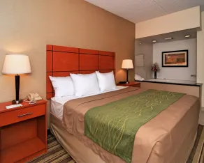 Comfort Inn Metro Airport - Chambre