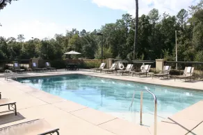 Hampton Inn & Suites Mobile Providence Park/Airport - Pool