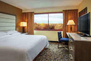 Embassy Suites by Hilton Boston Waltham - Chambre