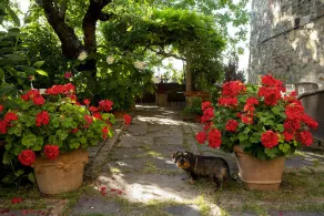 Palazzo Malaspina B&B - Ausblick vom Zimmer