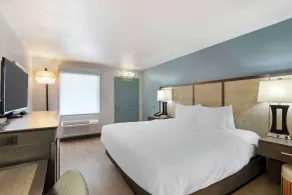 Best Western Plus St. Simons - Chambre