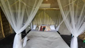 Dominican Jungle Resort  - Chambre