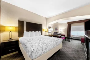 Best Western Boerne Inn & Suites - Chambre