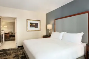 Embassy Suites by Hilton Denver Downtown Convention Center - Room