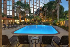 Sheraton Houston Brookhollow Hotel - Piscine