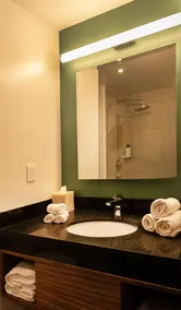 Hilton Garden Inn Mexico City Polanco - Baño