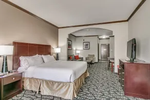 Holiday Inn Express and Suites Lubbock South by IHG - Chambre