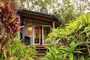 Nightcap Ridge - Byron Bay Hinterland - Zimmer