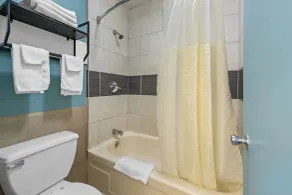 Econo Lodge Charlotte Airport Area - Bathroom