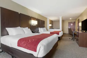 Comfort Suites and Conference Center - Rom