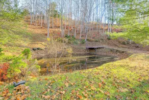 Steps to State Park! A-frame Cabin in Piney Creek - Innenbereich