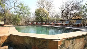 Grand Kruger Lodge and Spa - Pool