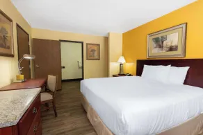 Travelodge by Wyndham Albuquerque East - Room