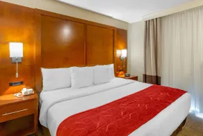 Comfort Suites Oakbrook Terrace near Oakbrook Center - Chambre