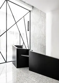 Mosaikon - Reception