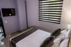 Hotel Roosevelt Plaza - Room