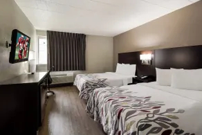Red Roof Inn New Stanton - Chambre