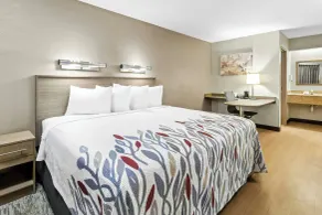 Red Roof Inn Dayton North Airport - Chambre