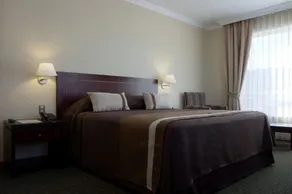 Hotel Diego de Almagro Temuco - Room
