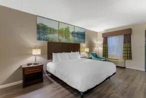 Clarion Pointe Kimball By Choice Hotels - Værelse