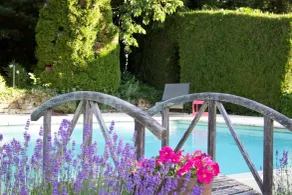 Le Moulin du Roc - Pool