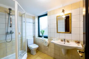 Casa del Sole Boutique Hotel Timisoara - Bathroom