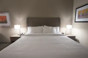 Hilton Garden Inn Bolingbrook I-55 - Chambre