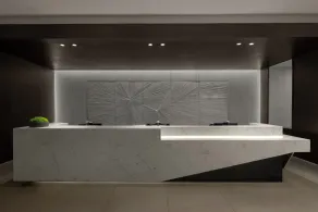 AC Hotel Arlington National Landing - Réception