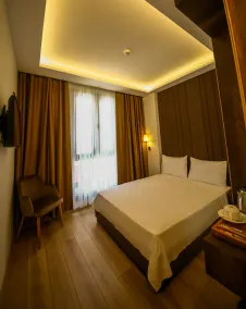 Alkan Palace Hotel - Room