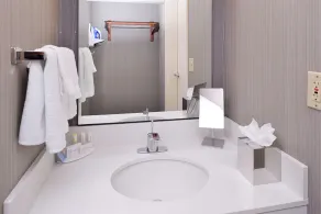 Courtyard by Marriott Charlotte Gastonia - Salle de bain