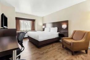 Best Western Patriots Point - Chambre