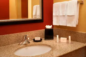 Sonesta Select Detroit Auburn Hills - Salle de bain