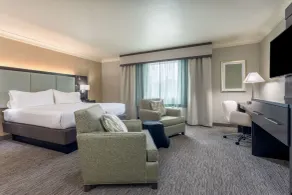 Holiday Inn Auburn by IHG - Chambre