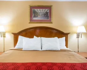 Econo Lodge Inn & Suites Macon West - Zimmer