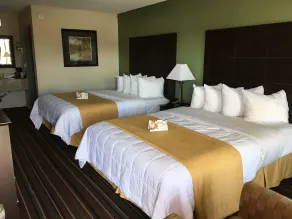 Quality Inn & Suites Horse Cave - Cave City - Værelse