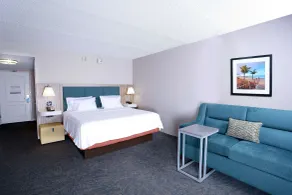 Hampton Inn & Suites Tampa-Wesley Chapel - Chambre