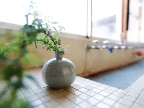 Kashiwaya Ryokan Guesthouse&Sharedhouse - Hostel - Chambre