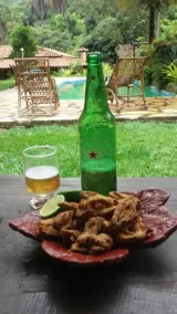 Pousada Rancho Flores - Piscina