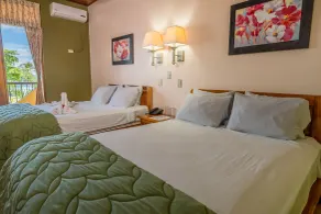 Hotel Manuel Antonio - Room