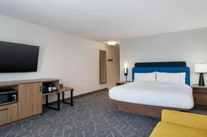 Hampton Inn Detroit/Southgate - Chambre